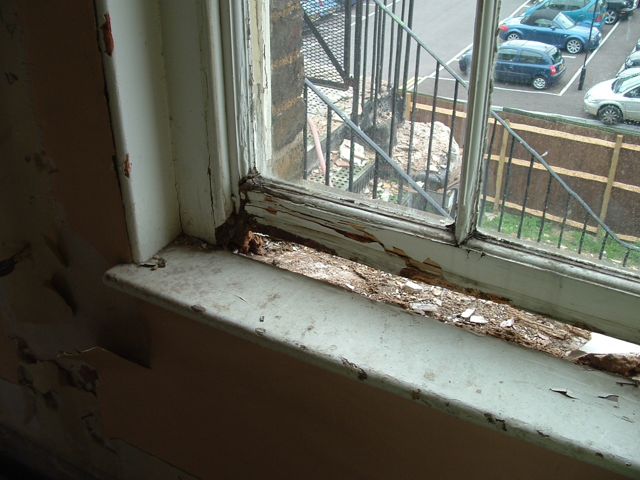 What does wet rot look like - Cracking Timber - PCA 